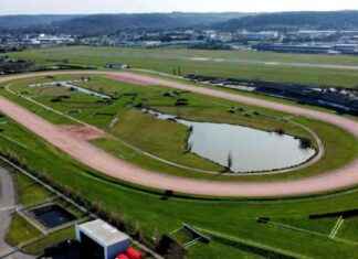 Celebrating 50 Years: Free Animations, Eclectic Concerts, and Fireworks at Agen Hippodrome news-16062024-141733