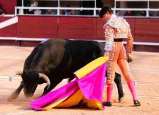 Daniel Luque and Borja Jimenez showcase their current form for the opening of the Istres Feria news-17062024-002536