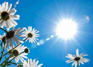 Tips for Staying Safe in the Heat: CIUSSS Saguenay-Lac-Saint-Jean’s Recommendations news-18062024-223113