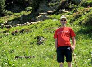 Protecting Herds: Volunteer Opportunities in the Mountains – My Mountain Getaway news-22072024-230606