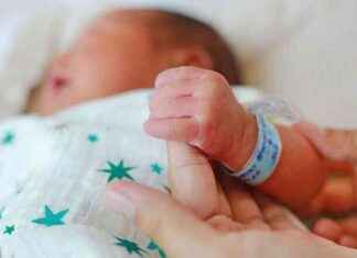 French Birth Rate Crisis Continues: Impact and Solutions news-02082024-040234