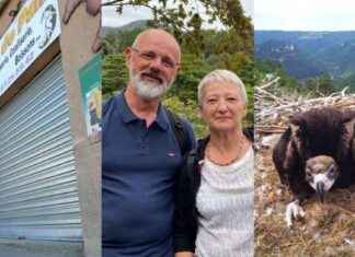 Agression par vengeance, accouchement sur parking, vautours sous surveillance: Actualités en région news-12082024-032320