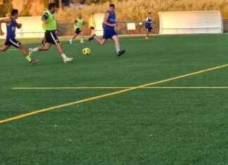 Next-Gen Synthetic Turf: Football Club Ditches Recycled Tire Pieces for Corn! news-14082024-172916