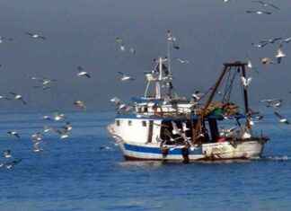 Coastal and Artisanal Fishing: 6.8 Billion DH of Products Sold by the End of July news-16082024-074510