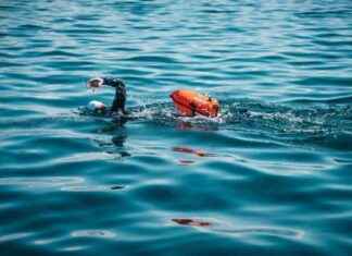 Swimmer Attempts World’s Longest Ocean Crossing: Hoping to Encounter Sharks in the Mediterranean! news-23082024-221857