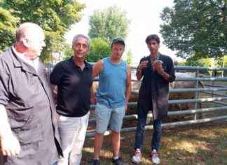 Top-Quality Calves for Sale: Elevage and Breeding Tips news-03092024-225623