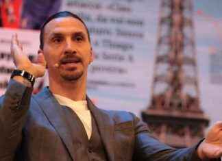 AC Milan Fed Up with Zlatan Ibrahimovic’s Antics – A Troubling Relationship news-13092024-104544