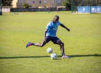 Discovering our 4 latest recruits at ESTAC news-13092024-184838