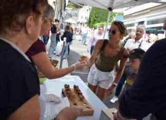 Murat Cornet Festival Celebrates 20 Years with a Festive Manifestation news-14092024-204822