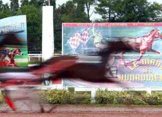 The Week’s Agenda: Stay Organized and Productive with This Weekly Planner news-15092024-005510