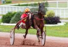 Tuesday’s Horse Racing Events at Paris-Vincennes: Schedule and Tips news-17092024-230955
