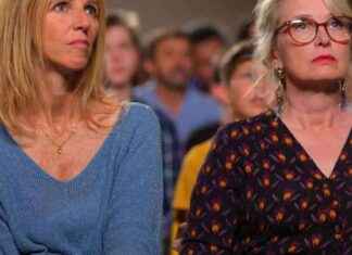 New Title: Latest Movie Releases: The Seeds of the Wild Fig Tree, My Life My Face, The Barbarians, Conservatory Street… news-18092024-192959