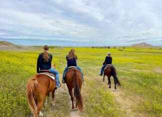 Un Voyage d’été en Dakota du Sud | Jeune Amour de Maison news-20092024-221336