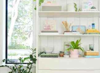 Meilleures plantes purificatrices d’air | Jeunes Amoureux de la Maison news-21092024-065826