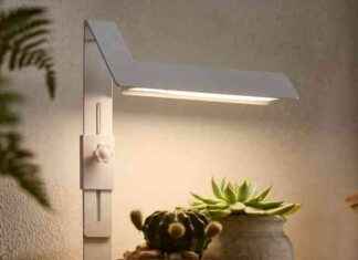 Lumière de croissance moderne avec plateau en bambou: Produit de la semaine news-21092024-110434