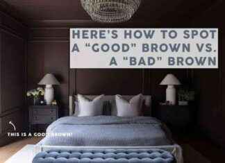 Conseils essentiels pour bien utiliser la couleur marron dans votre décoration intérieure news-09102024-120013