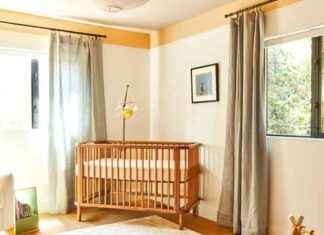 Une révélation de la pépinière des anciens élèves de l’EHD avec des idées de bricolage si bonnes que les grands voudront aussi voler news-10102024-060815