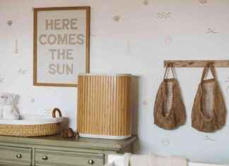 L’Épurateur d’Air de Moulin à Vent: un Épurateur d’Air Élégant et Efficace news-10102024-180620