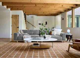 Le Lien: Le Coussin à 25$ Que Em Achète Pour Les Séances Photos, Le Meilleur Outil D’Économie d’Argent de Caitlin, Et Le Film Qui Nous A Fait Pleurer De Joie – Emily Henderson news-13102024-193619