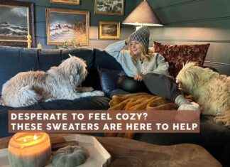 Les 15 Pulls Confortables à Moins de 75 $ Que Nous Avons Adorés (+ Un Qui Est Épuisé Depuis des Années!) – Emily Henderson news-19102024-141619