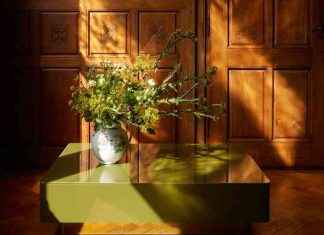 Kevin Frankental parle de son appartement à Paris, de sa chaise préférée et plus encore news-09112024-034316