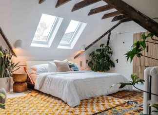 Transformer son grenier en une chambre lumineuse et accueillante pour les plantes – Emily Henderson news-14112024-215926