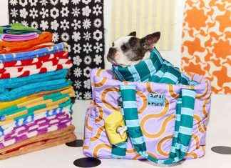 Améliorez la garde-robe de votre chien avec Dusen Dusen x Little Beast news-15112024-035935