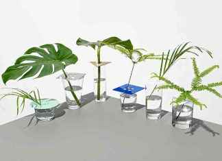 F5: Sallyann Corn sur les librairies indépendantes, les saunas et plus news-16112024-040447