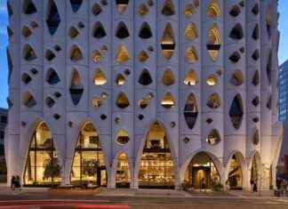 Hôtel Populus à Denver : Une connexion renforcée par la biophilie news-22112024-001947