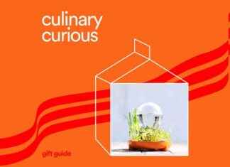 Les Meilleurs Cadeaux Modernes pour Cuisiniers, Chefs et les Curieux de la Cuisine en 2024 news-22112024-201458