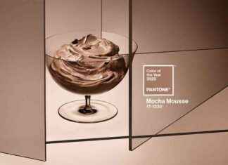 Couleur de l’année Pantone 2025 : PANTONE Mocha Mousse couleur-de-lanne-pantone-2025-pantone-mocha-mousse