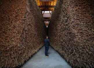 Révision de l’année 2024: Sans cadre rvision-de-lanne-2024-sans-cadre