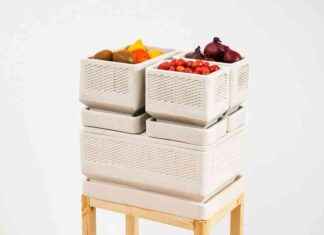 Révision de l’année 2024: Saveur magnifique rvision-de-lanne-2024-saveur-magnifique