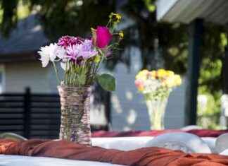 Un Mariage DIY en 2024 qui a Inspiré un Rafraîchissement du Jardin un-mariage-dy-en-2024-qui-a-nspir-un-rafrachissement-du-jardin