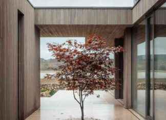 La Maison des Marées Invite la Tranquillité Écossaise sur la Côte de Solway la-maison-des-mares-nvite-la-tranquillit-cossaise-sur-la-cte-de-solway