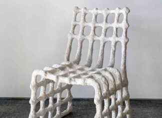 Le succès de RISD avec les champignons et les coquillages dans la compétition Terra Carta le-succs-de-rsd-avec-les-champignons-et-les-coquillages-dans-la-comptition-terra-carta