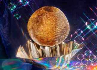 Lancement mensuel de Wooj pour doubler sa collection lancement-mensuel-de-wooj-pour-doubler-sa-collection