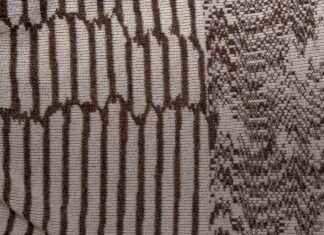 L’art génératif d’A.A. Murakami inspiré par une ancienne palourde lart-gnratif-daa-murakami-inspir-par-une-ancienne-palourde