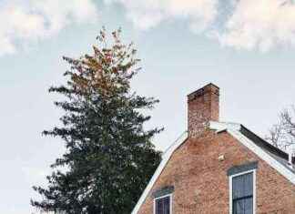 Avant et Après : Une Famille Réécrit l’Histoire d’une des Plus Anciennes Maisons de la Vallée de l’Hudson avant-et-aprs-une-famille-rcrit-lhistoire-dune-des-plus-anciennes-maisons-de-la-valle-de-lhudson