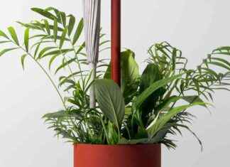 Capturer la puissance de l’eau de pluie avec RAINDROP par Junwoo Lim capturer-la-puissance-de-leau-de-pluie-avec-randrop-par-junwoo-lim