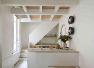 Transformation d’une Étable à Paris en une Maisonnette de 172 Pieds Carrés transformation-dune-table-paris-en-une-maisonnette-de-172-pieds-carrs