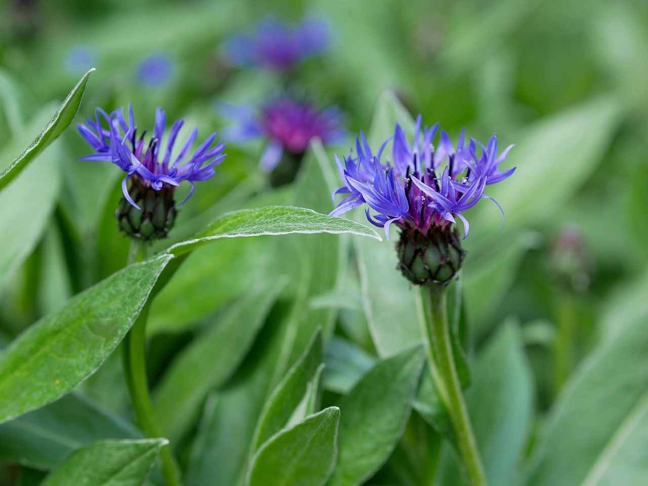 Bois, lin, rotin : matériaux naturels pour une ambiance douce 6 Conclusion : l'importance des matériaux naturels