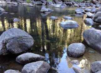 Comment aménager une chambre zen et reposante Comment aménager une chambre zen et reposante