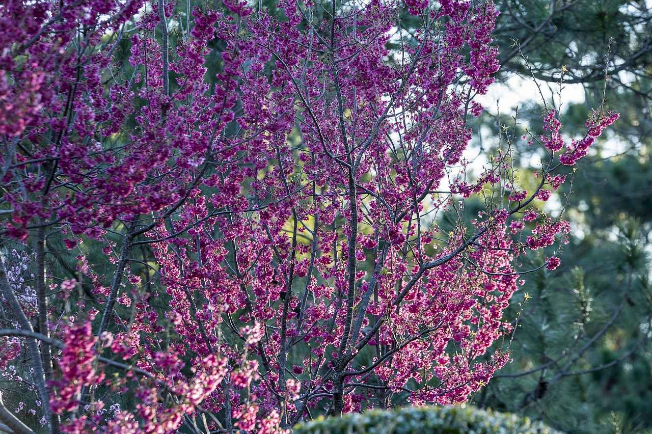 Comment aménager une chambre zen et reposante 1 Choix des couleurs apaisantes