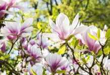 Comment choisir les bonnes couleurs pour chaque pièce Comment choisir les bonnes couleurs pour chaque pièce