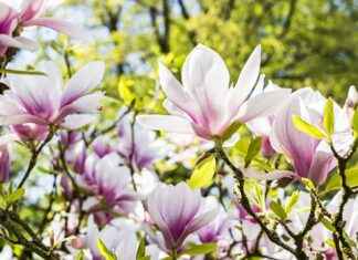 Comment choisir les bonnes couleurs pour chaque pièce Comment choisir les bonnes couleurs pour chaque pièce