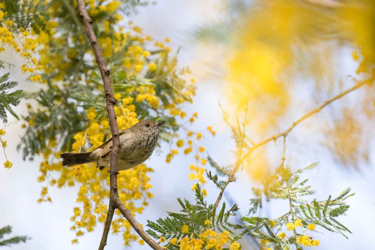 Comment choisir les bonnes couleurs pour chaque pièce 4 Les couleurs neutres pour la polyvalence