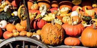 Déco d’automne : couleurs chaudes et ambiance cocooning Déco d’automne : couleurs chaudes et ambiance cocooning