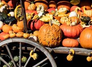 Déco d’automne : couleurs chaudes et ambiance cocooning Déco d’automne : couleurs chaudes et ambiance cocooning