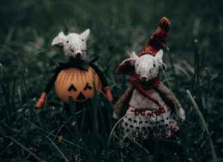 Deco Halloween Maison : Idées De Décorations Halloween À Tester Chez Vous Deco Halloween Maison : Idées De Décorations Halloween À Tester Chez Vous